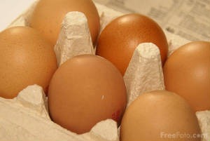 eggs.freefoto.com.jpg