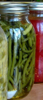 pickled_green_beans.jpg